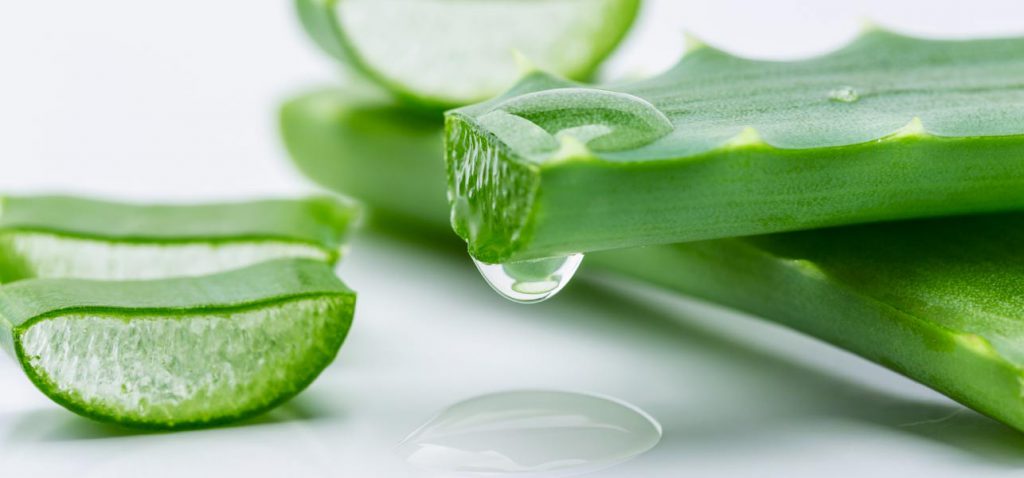 Aloe-Vera
