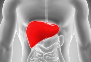 Just-diagnosed-with-Hepatitis-C-What-Precautions-should-I-take