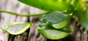aloevera