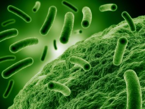 antimicrobial-resistance