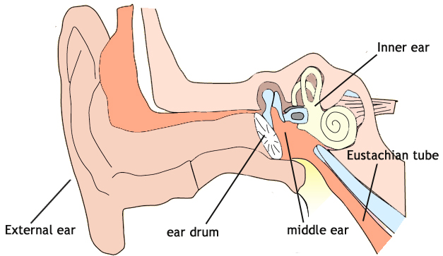 ear-infection