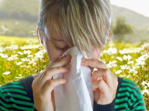 Hay fever symptoms