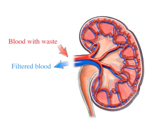 Steroids high blood pressure treatment