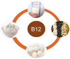 vitamin b12 for vitiligo