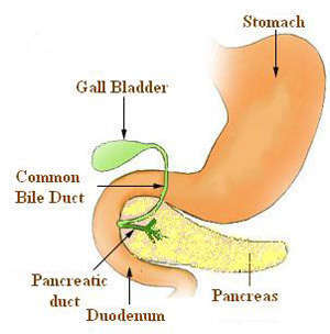 http://www.askdrshah.com/images/Diabetes_I.jpg