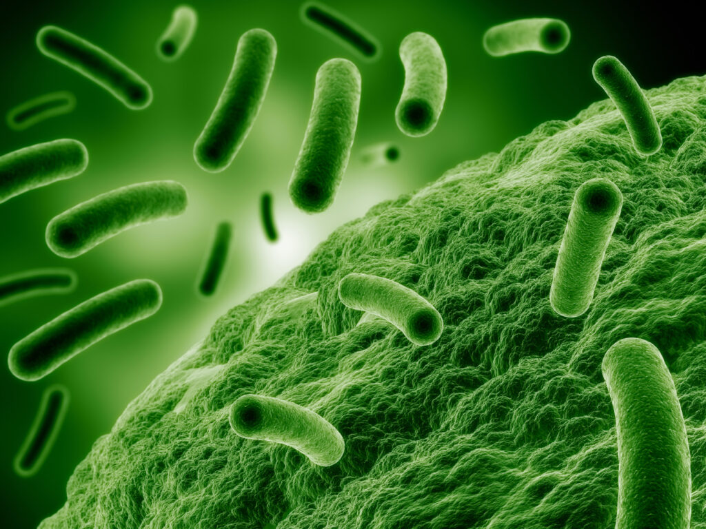 antimicrobial-resistance