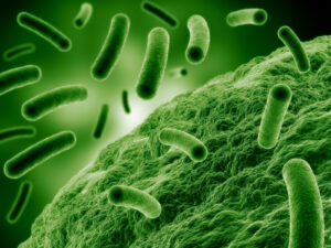 antimicrobial-resistance