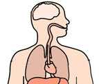 Effects of Anxiety on your health
