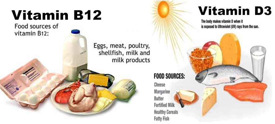 Que alimentos llevan b12