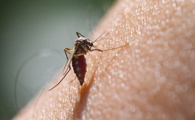 Dengue – A Monsoon Woe: 9 Helpful Tips To Prevent Dengue Fever