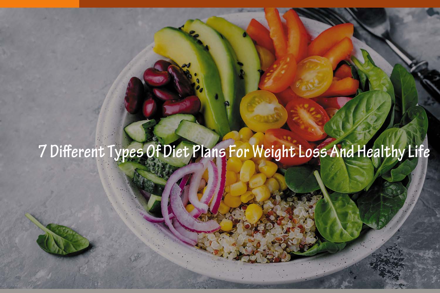 7-different-types-of-diet-plans-for-weight-loss-and-healthy-life