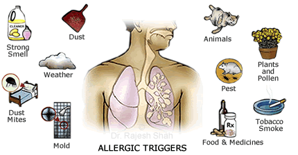 Allergies Causing Asthma