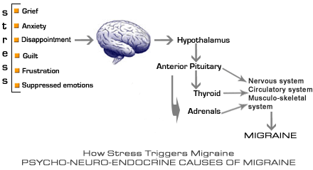 How stress causes migraine, Psycho neuro endocrine causes migraine