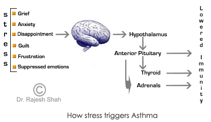How Stress Causes Asthma
